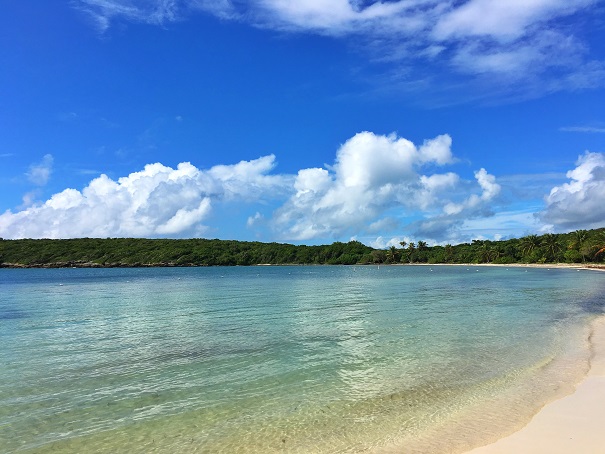 PIC_20151207_101419_087