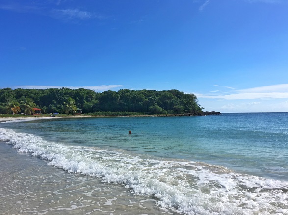 PIC_20151207_130252_026