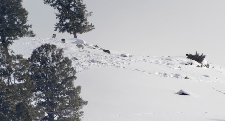 Screen Shot 2021-09-14 at 2.26.58 PM